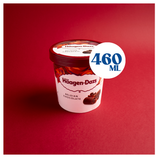 Haagen-Dazs Chocolate 460ml