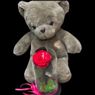 Trandafir Criogenat si Ursulet 1