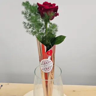 Róża w  folii.