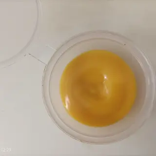 salsa mango