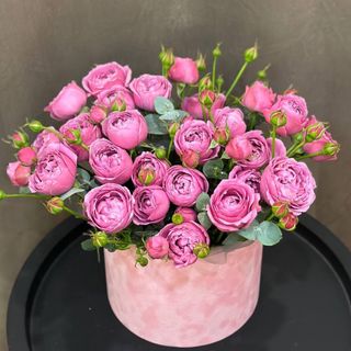 Преміальна композиція «Місті Баблс»