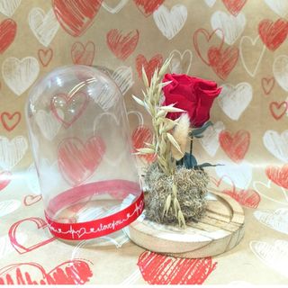 Rosa roja en urna pequeña (17cm)