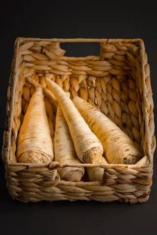 PATRUNJEL RADACINA (kg)