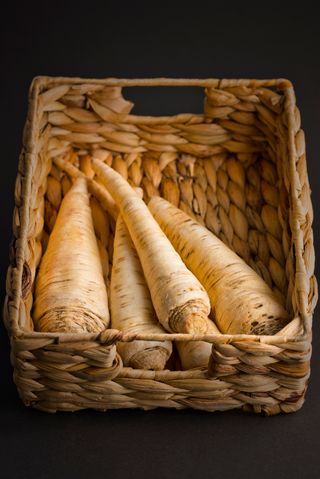 PATRUNJEL RADACINA (kg)