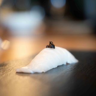 Nigiri Vieira trufa