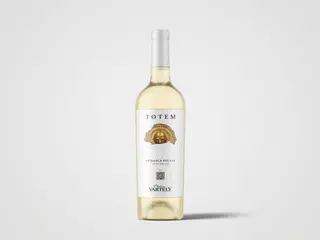 Chateau Vartely Tatem
