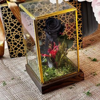 Noir Éternel sous Cloche Dorée