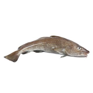 Bacalao (Aprox.  1,5 Kg.)