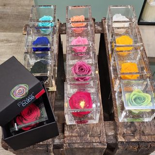 Rosa stabilizzata singola colori assortiti misura piccola 