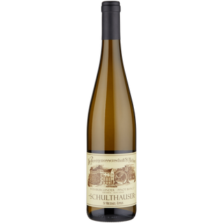 Trentino Pinot Bianco Schulthauser D.O.C 2022 St Micheal Eppan 13.5
