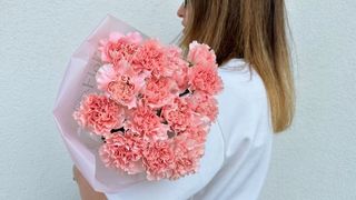 Bukiet różowych goździków - 15 szt.