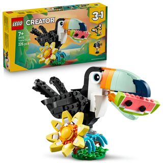 Animale salbatice: Tucan tropical - 31173
