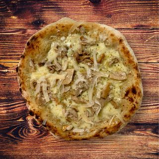 Funghi porcini media