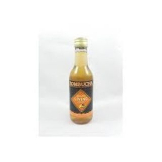 Kombucha Gengibre 250ML