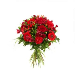 15 bordowych kwiatów