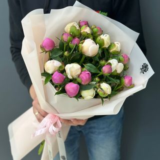 21 голландський піон в ассортименті