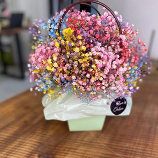Gypsophila in bag(colored)