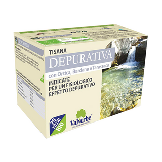 Tè e tisane  depurante