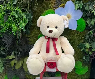 TEDDY BIG E ROSE Teddy e rosa stabilizzata eterna