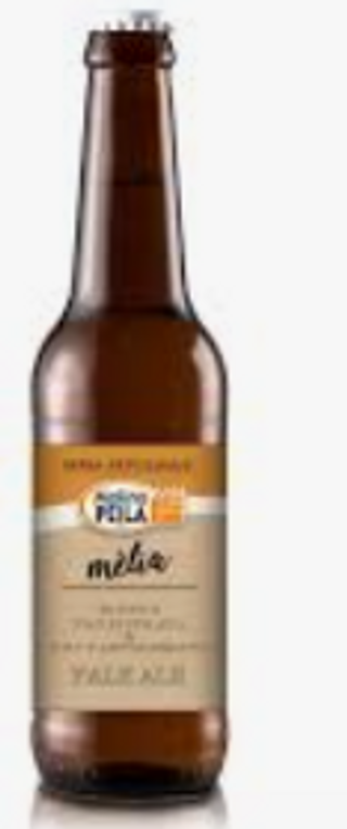 Birra senza glutine artigianale 33 cl