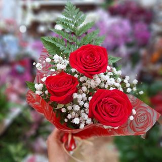 Tres Rosas Rojas "Los Tilos"