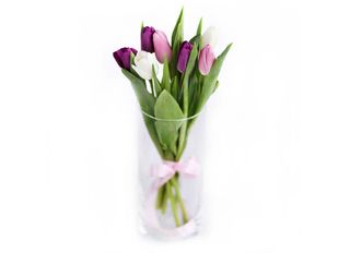 Микс лалета 7 бр