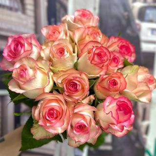 15 біло-рожевих троянд