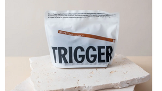 Trigger - Batch brew fruity