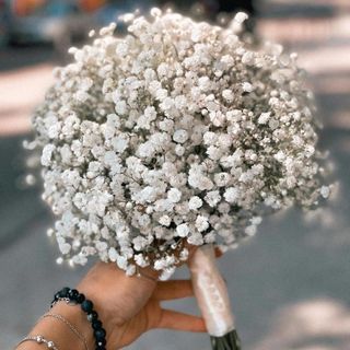 Bouquet Gypsophila grande