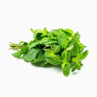 Menta Fresca (50g)