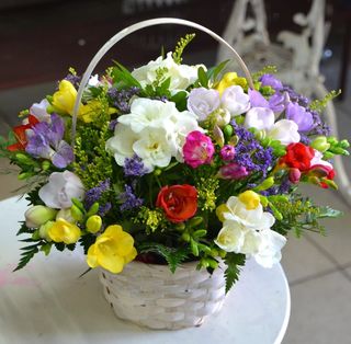 Cos cu 17 frezii multicolore