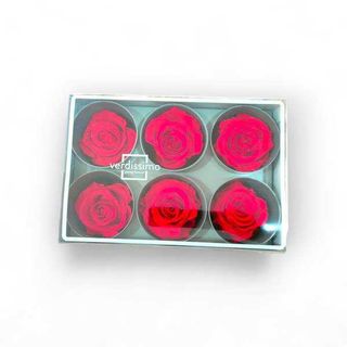 Caixa com 6 Rosas Vermelhas