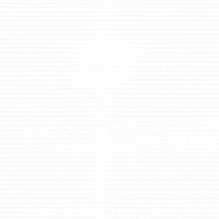 Bowl de Frango e Brócolos