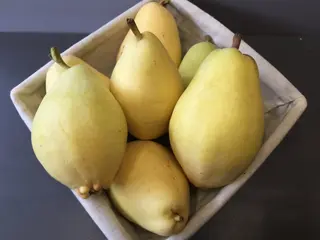 Круши
