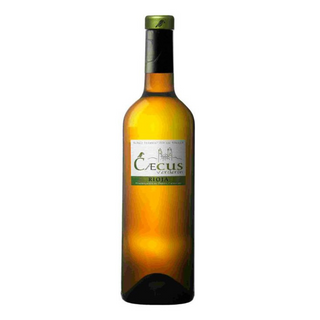 VINO BLANCO CAECUS VERDERON