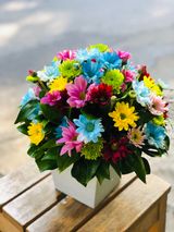 ფერადი ქრიზანთემების კოლოფი