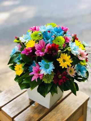 ფერადი ქრიზანთემების კოლოფი