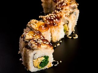 Дракон вугор (20/230g)