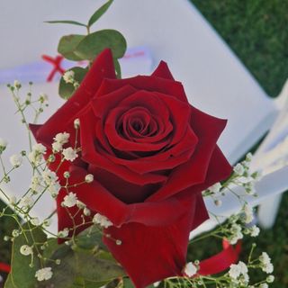 Mazzo degli innamorati 