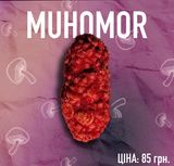 21+ Amanita Kush шишка цукерка