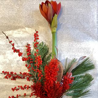 Amarylis z dekoracją 