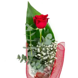Rosa Roja Unidad