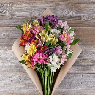 ალსტრომერია 15 ტოტი