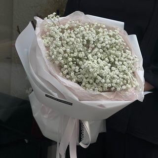 11 гілочок білої гіпсофіли