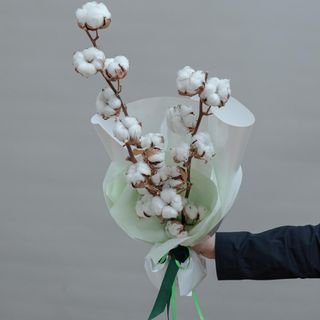 Cotton Bouquet
