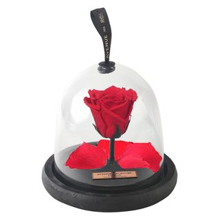 Cupola mica cu trandafir criogenat rosu
