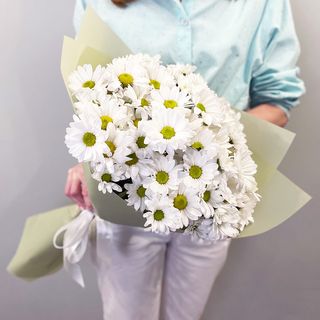 ქრიზანთემა გვირილა 3045