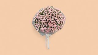 სპრეი ვარდები