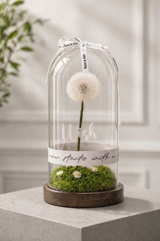 Wish