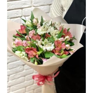 ასტრომერიები